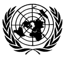 UN Logo